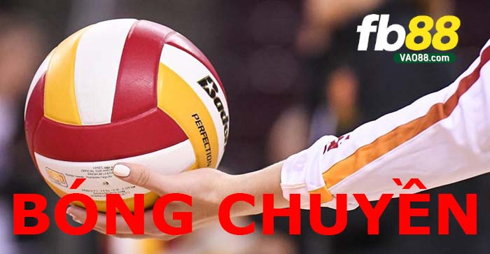 Cách chơi cá cược bóng chuyền hiệu quả tại nhà cái