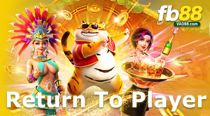 Tìm hiểu về tỷ lệ RTP – Thuật toán RTP trong Slot